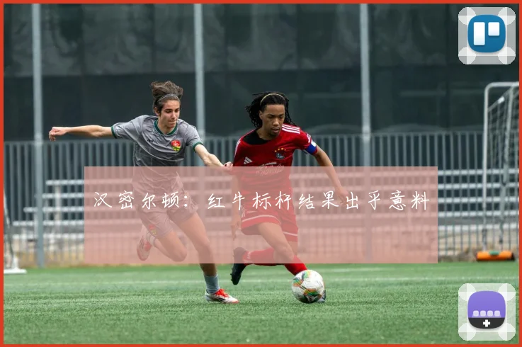汉密尔顿：红牛标杆结果出乎意料