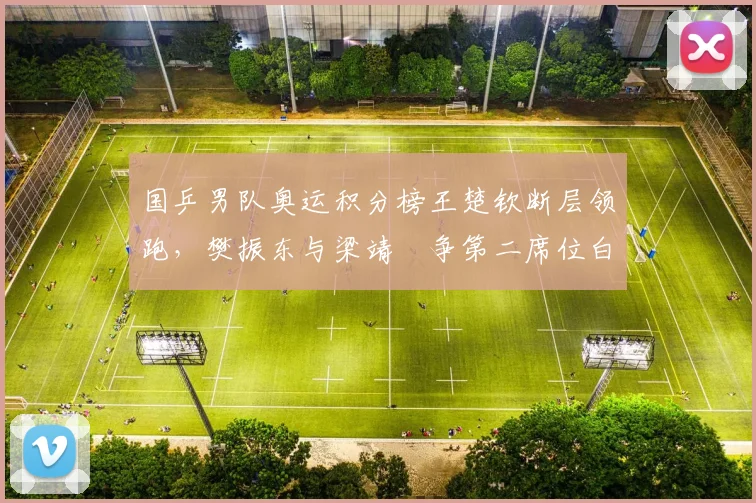 国乒男队奥运积分榜王楚钦断层领跑，樊振东与梁靖崑争第二席位白热化__br_